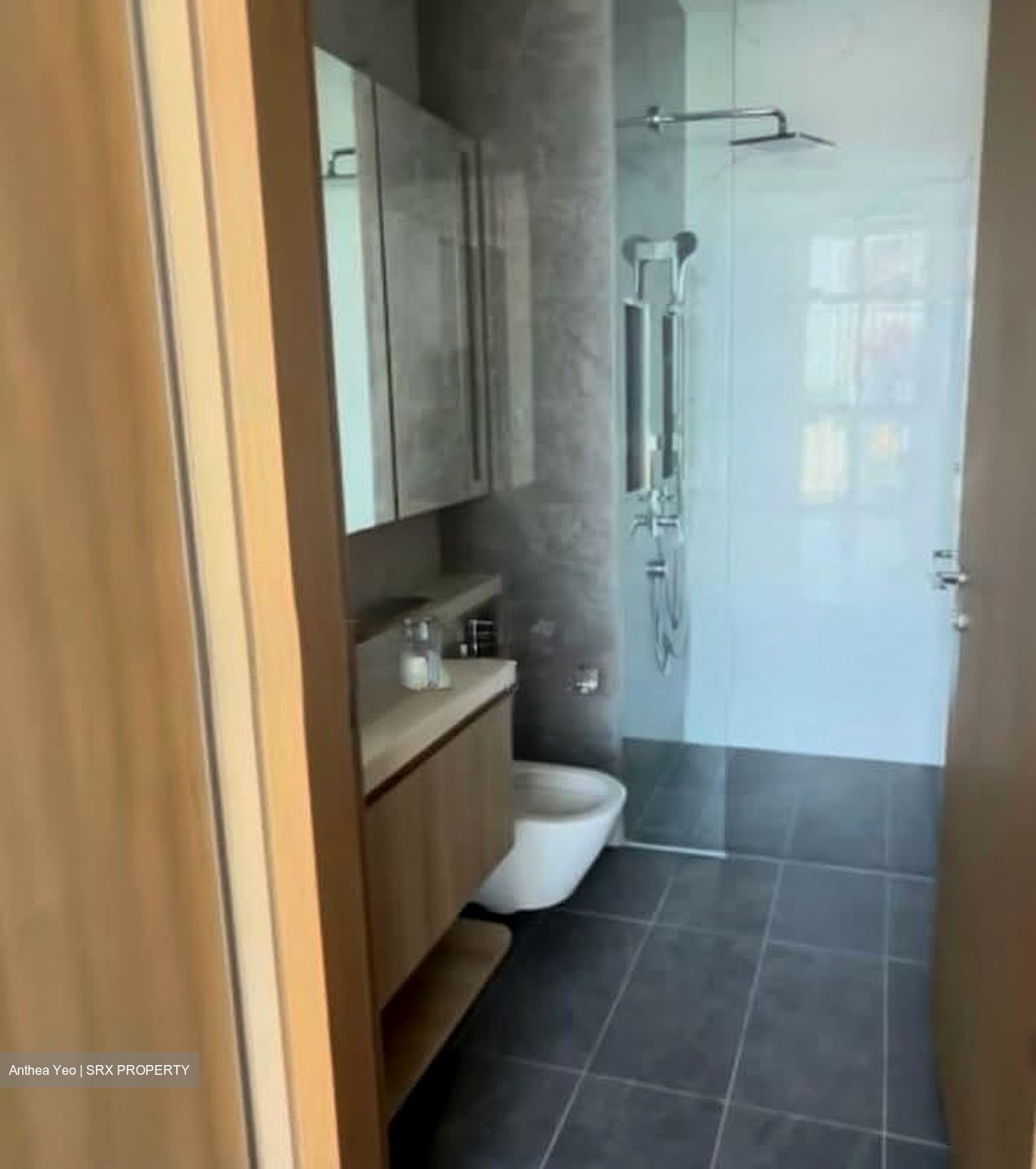 Sanctuary @ Newton (D11), Apartment #562124971